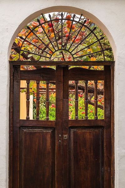 Bibikow, Walter 아티스트의 Canary Islands-La Palma Island-Santa Cruz de la Palma-persimmon fruit garden작품입니다.